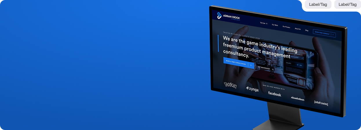 Vista Technologies branding, web design WordPress project for Adrian Crook & Associates